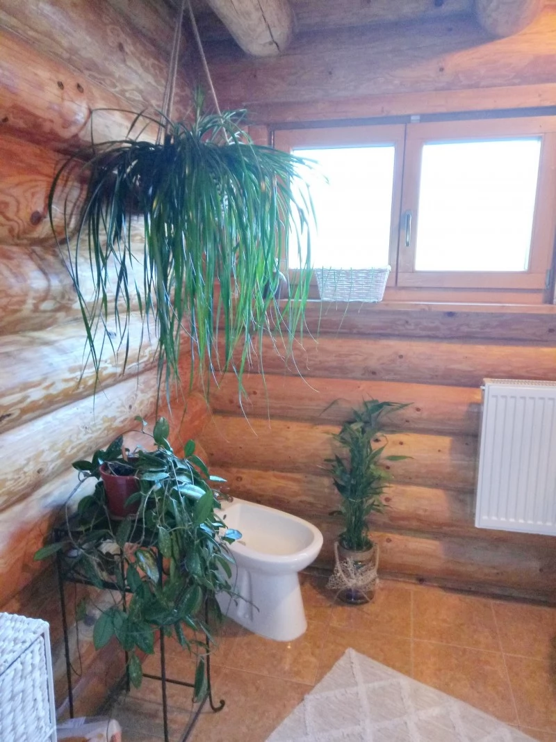 Izvoru Mureșului Cazare | Hotel**** (K0855-11) Imaginea poate fi supusă drepturilor de autor. Se recomandă contactarea titularului drepturilor.