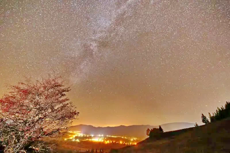 Marosfő Szállás | Hotel**** (K0855-23) A kép szerzői jogvédelem alatt állhat. Javasolt a kapcsolatfelvétel a jog tulajdonossal.