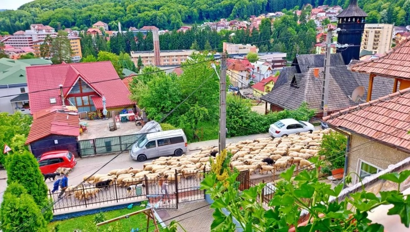 Băile Olănești Cazare | Camping / Popas turistic (K0633-19) Imaginea poate fi supusă drepturilor de autor. Se recomandă contactarea titularului drepturilor.