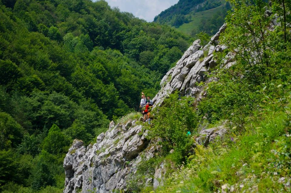 Nagyenyed Szállás | Panzió (K0029-48) A kép szerzői jogvédelem alatt állhat. Javasolt a kapcsolatfelvétel a jog tulajdonossal.