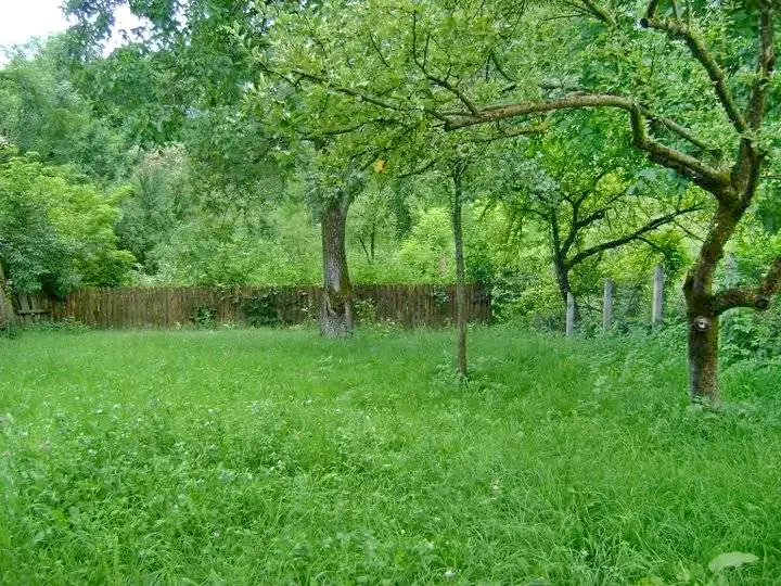 Kalotaszentkirály Szállás | Hotel**** (K1192-46) A kép szerzői jogvédelem alatt állhat. Javasolt a kapcsolatfelvétel a jog tulajdonossal.