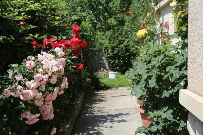 Kalotaszentkirály Szállás | Panzió (K1591-13) A kép szerzői jogvédelem alatt állhat. Javasolt a kapcsolatfelvétel a jog tulajdonossal. Kalotaszentkirály Szállás | Panzió (K1591-13) A kép szerzői jogvédelem alatt állhat. Javasolt a kapcsolatfelvétel a jog tulajdonossal.