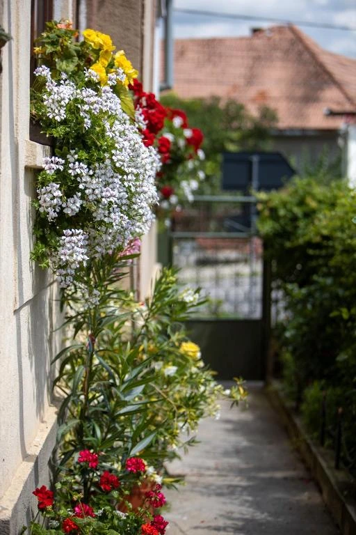 Kalotaszentkirály Szállás | Motel (K1591-18) A kép szerzői jogvédelem alatt állhat. Javasolt a kapcsolatfelvétel a jog tulajdonossal.