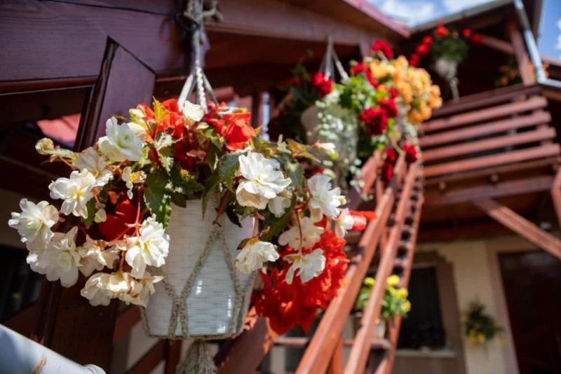 Sâncraiu Cazare | Pensiune (K1591-29) Imaginea poate fi supusă drepturilor de autor. Se recomandă contactarea titularului drepturilor.