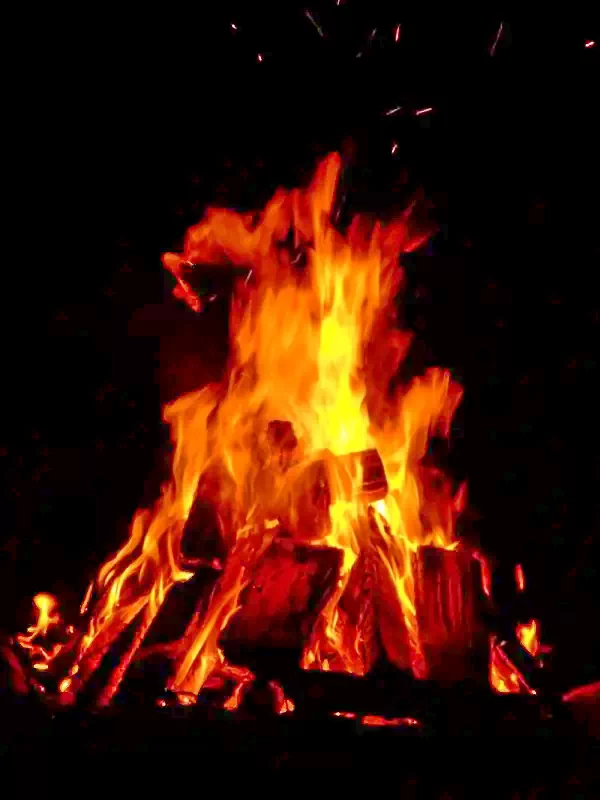 Padis Cazare | Hotel**** (K0711-41) Imaginea poate fi supusă drepturilor de autor. Se recomandă contactarea titularului drepturilor.