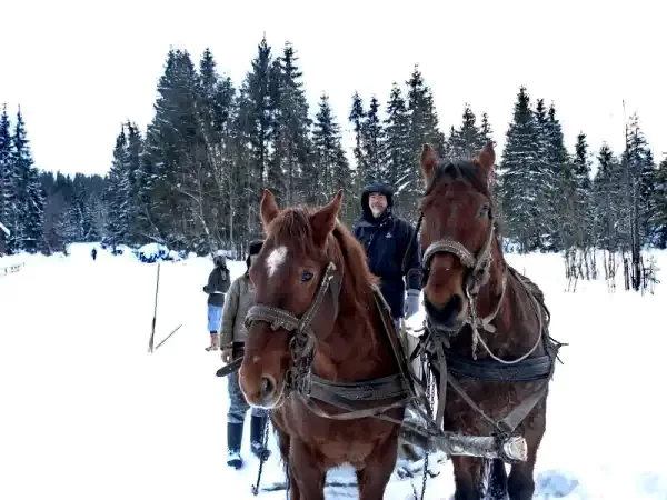 Szállás Ic Ponor Padiș - Vila Ioana | Ic Ponor Pádis - Ioana Villa. A kép szerzői jogvédelem alatt állhat. Javasolt a kapcsolatfelvétel a jog tulajdonossal.