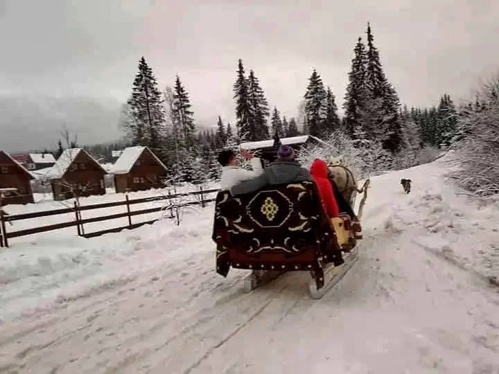 Padis Cazare | Casă de oaspeți (K0711-49) Imaginea poate fi supusă drepturilor de autor. Se recomandă contactarea titularului drepturilor.