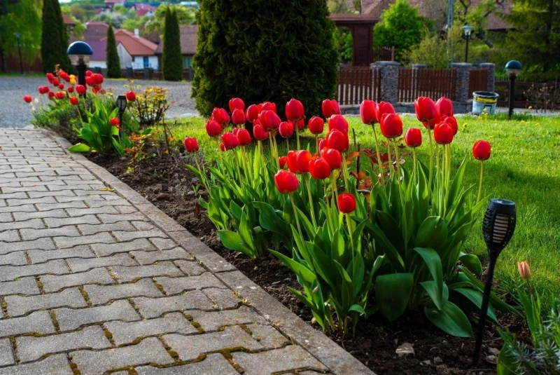 Căpâlnița Cazare | Pensiune (K1240-27) Imaginea poate fi supusă drepturilor de autor. Se recomandă contactarea titularului drepturilor.