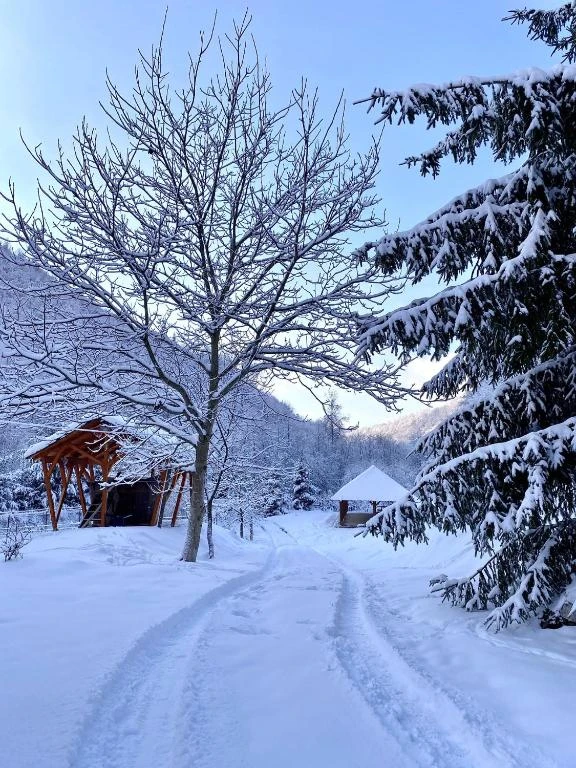 Valea Boga Cazare | Sat de vacanță (K1455-21) Imaginea poate fi supusă drepturilor de autor. Se recomandă contactarea titularului drepturilor.