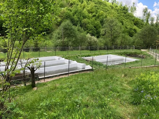 Valea Boga Cazare | Sat de vacanță (K1455-42) Imaginea poate fi supusă drepturilor de autor. Se recomandă contactarea titularului drepturilor.