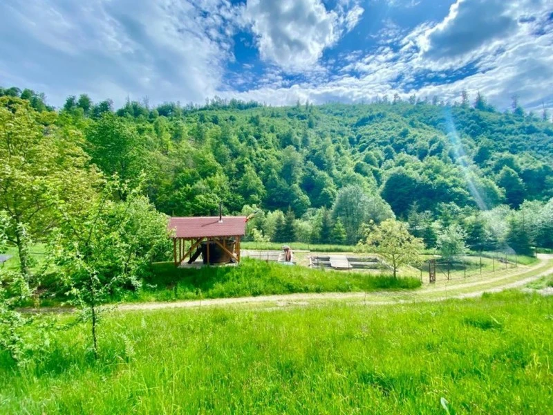 Valea Boga Cazare | Cabană (K1455-48) Imaginea poate fi supusă drepturilor de autor. Se recomandă contactarea titularului drepturilor.