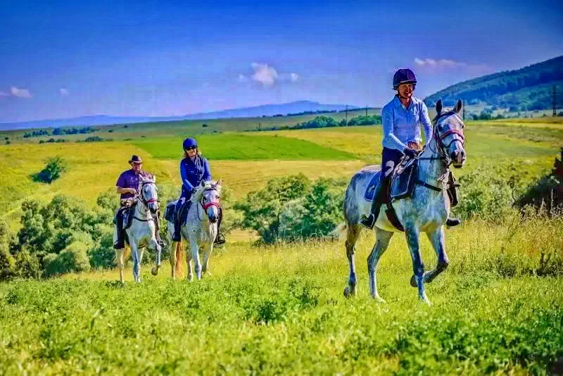 Căpâlnița Cazare | Pensiune (K1078-23) Imaginea poate fi supusă drepturilor de autor. Se recomandă contactarea titularului drepturilor.