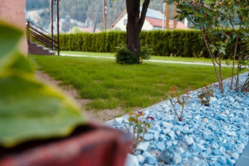 Lăzarea Cazare | Pensiune (K1074-37) Imaginea poate fi supusă drepturilor de autor. Se recomandă contactarea titularului drepturilor.