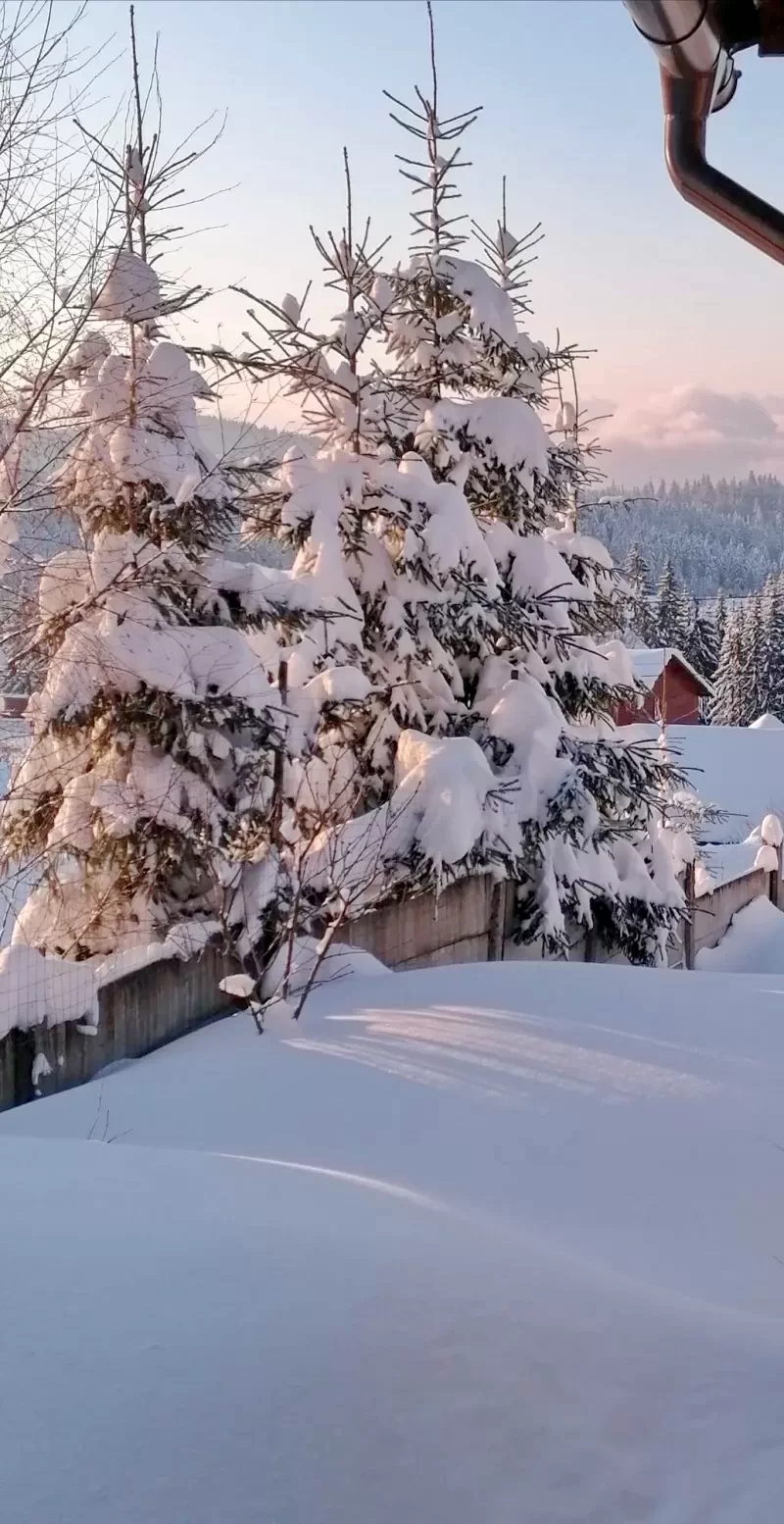 Harghita-Băi Cazare | Casă de apartamente (K1422-20) Imaginea poate fi supusă drepturilor de autor. Se recomandă contactarea titularului drepturilor.