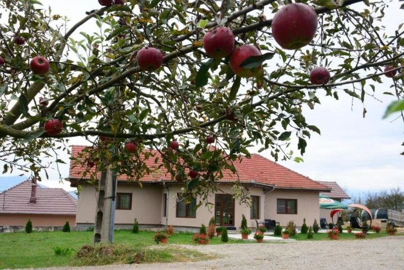 Szállás Hațeg - Casa Alin***|Hátszeg - Alin Ház***. A kép szerzői jogvédelem alatt állhat. Javasolt a kapcsolatfelvétel a jog tulajdonossal.