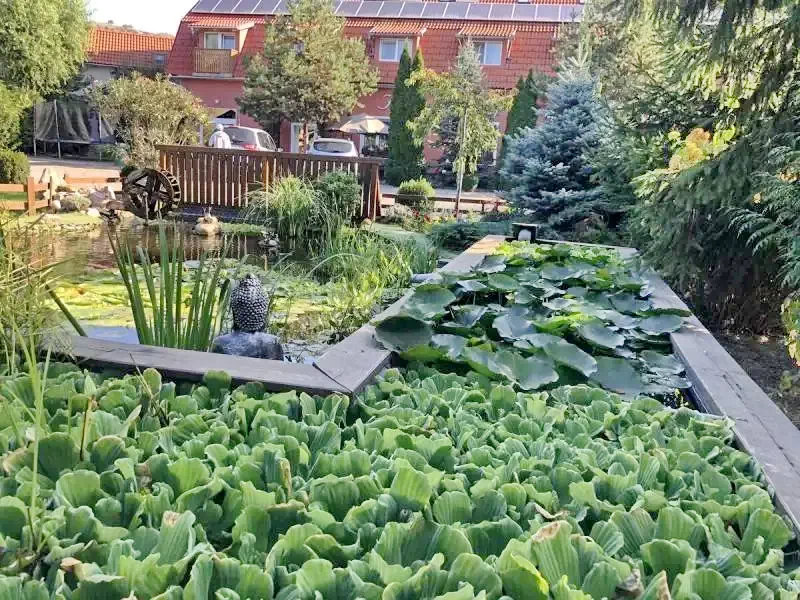 Cazare Odorheiu Secuiesc - Pensiunea Hintó*** | Székelyudvarhely - Hintó Panzió***. Imaginea poate fi supusă drepturilor de autor. Se recomandă contactarea titularului drepturilor.