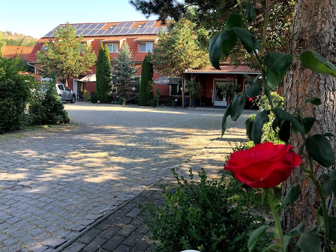 Cazare Odorheiu Secuiesc - Pensiunea Hintó*** | Székelyudvarhely - Hintó Panzió***. Imaginea poate fi supusă drepturilor de autor. Se recomandă contactarea titularului drepturilor.