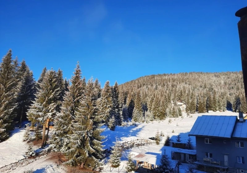 Arieșeni Cazare | Hotel*** (K1147-34) Imaginea poate fi supusă drepturilor de autor. Se recomandă contactarea titularului drepturilor.