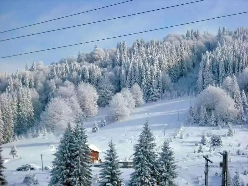 Komandó Szállás | Panzió (K0124-26) A kép szerzői jogvédelem alatt állhat. Javasolt a kapcsolatfelvétel a jog tulajdonossal.