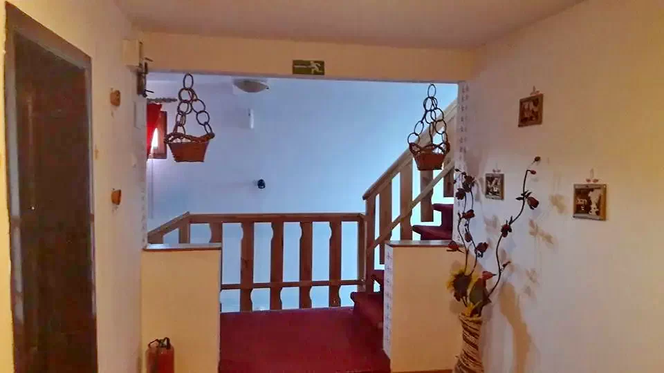 Komandó Szállás | Panzió (K0446-14) A kép szerzői jogvédelem alatt állhat. Javasolt a kapcsolatfelvétel a jog tulajdonossal.