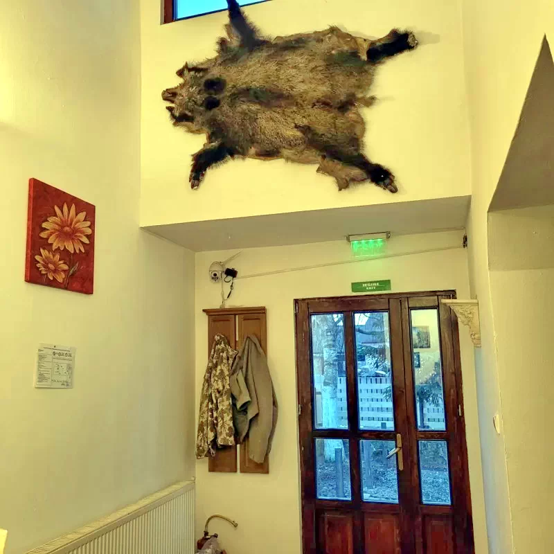 Comandău Cazare | Pensiune (K0446-76) Imaginea poate fi supusă drepturilor de autor. Se recomandă contactarea titularului drepturilor.