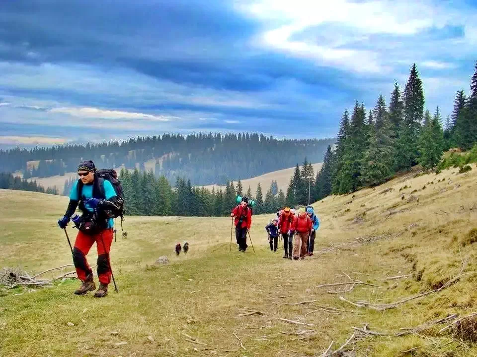 Komandó Szállás | Panzió (K1222-44) A kép szerzői jogvédelem alatt állhat. Javasolt a kapcsolatfelvétel a jog tulajdonossal.
