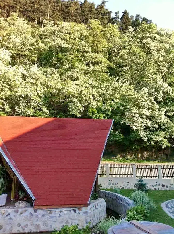 Nagyszeben Szállás | Panzió (K0657-19) A kép szerzői jogvédelem alatt állhat. Javasolt a kapcsolatfelvétel a jog tulajdonossal.