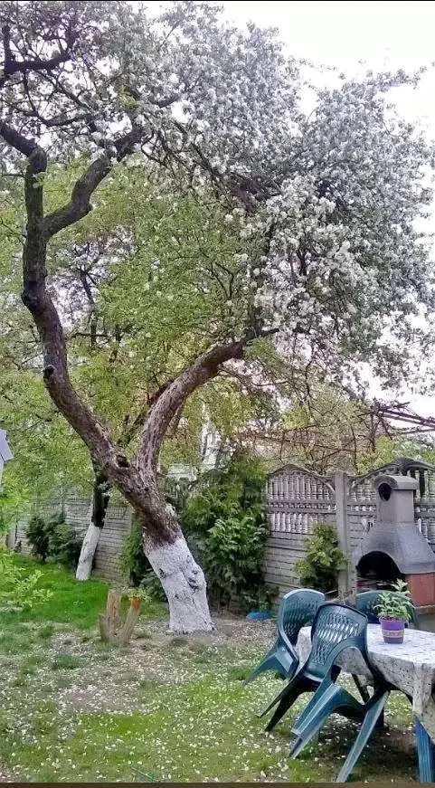 Sibiu Cazare | Pensiune (K0598-24) Imaginea poate fi supusă drepturilor de autor. Se recomandă contactarea titularului drepturilor.