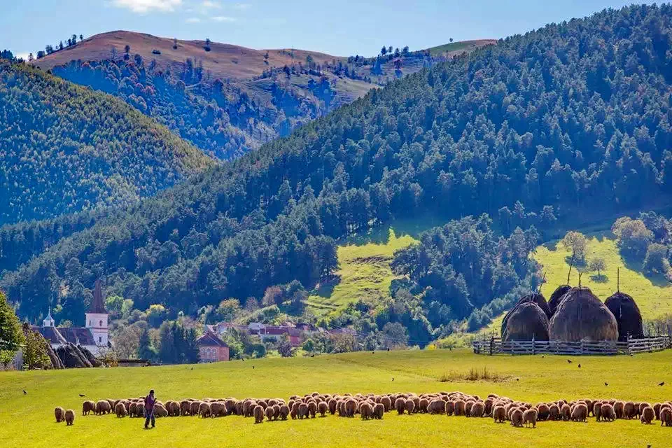 Sibiu Cazare | Pensiune (K1371-1) Imaginea poate fi supusă drepturilor de autor. Se recomandă contactarea titularului drepturilor.