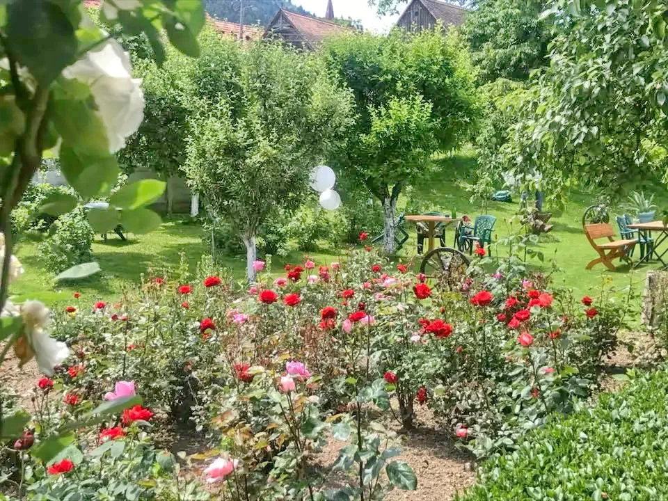 Sibiu Cazare | Pensiune (K1371-8) Imaginea poate fi supusă drepturilor de autor. Se recomandă contactarea titularului drepturilor.