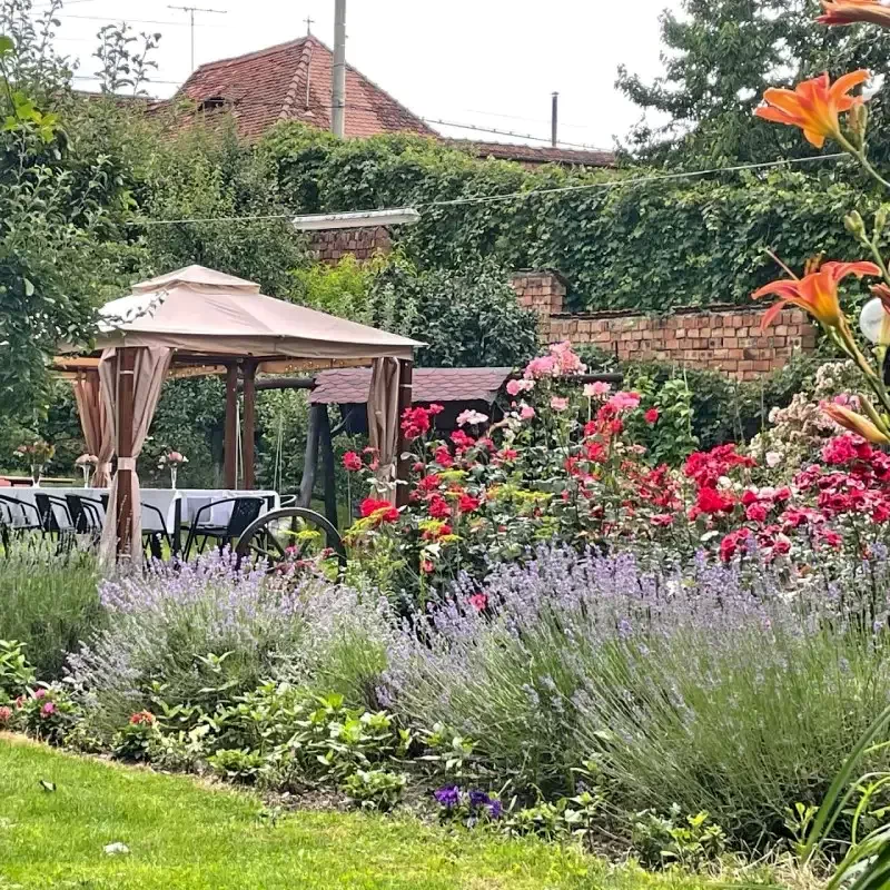 Sibiu Cazare | Pensiune (K1371-22) Imaginea poate fi supusă drepturilor de autor. Se recomandă contactarea titularului drepturilor.