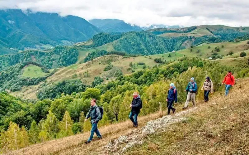 Sibiu Cazare | Pensiune (K1371-46) Imaginea poate fi supusă drepturilor de autor. Se recomandă contactarea titularului drepturilor.
