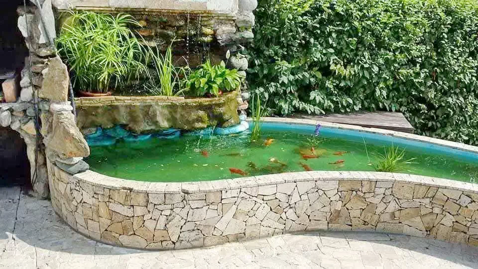 Sibiu Cazare | Pensiune (K1035-1) Imaginea poate fi supusă drepturilor de autor. Se recomandă contactarea titularului drepturilor.