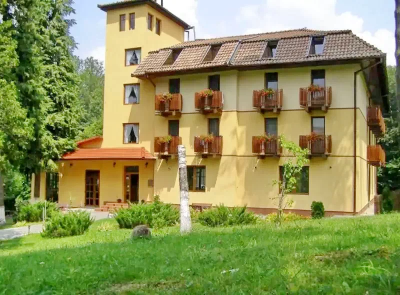 Szováta Szállás | Villa (K0063-60) A kép szerzői jogvédelem alatt állhat. Javasolt a kapcsolatfelvétel a jog tulajdonossal.