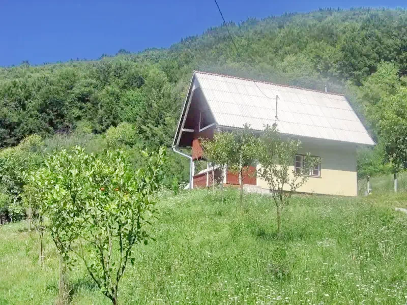 Cazare Sovata - Cabana Kelemen | Szováta - Kelemen Kulcsosház. Imaginea poate fi supusă drepturilor de autor. Se recomandă contactarea titularului drepturilor.