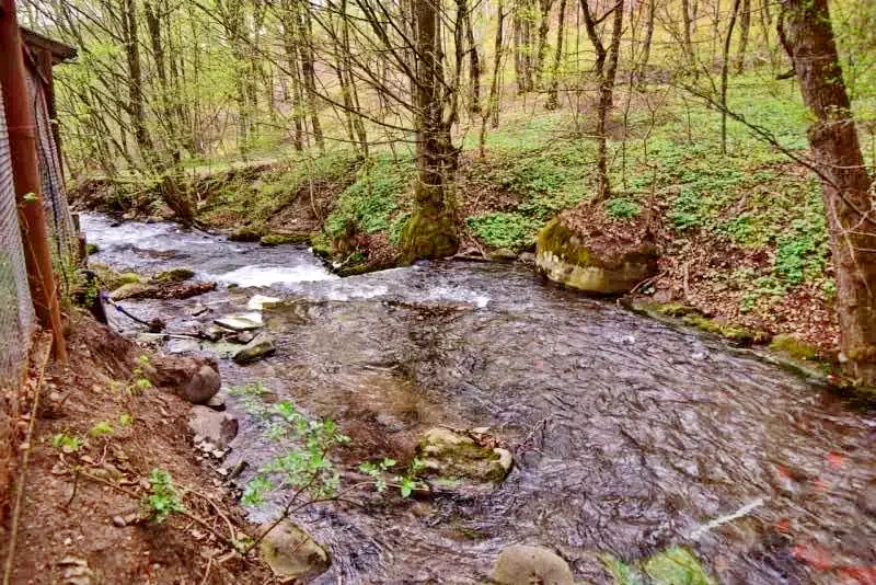 Cazare Sovata - Vila Arinul*** | Szováta - Arinul Villa***. Imaginea poate fi supusă drepturilor de autor. Se recomandă contactarea titularului drepturilor.