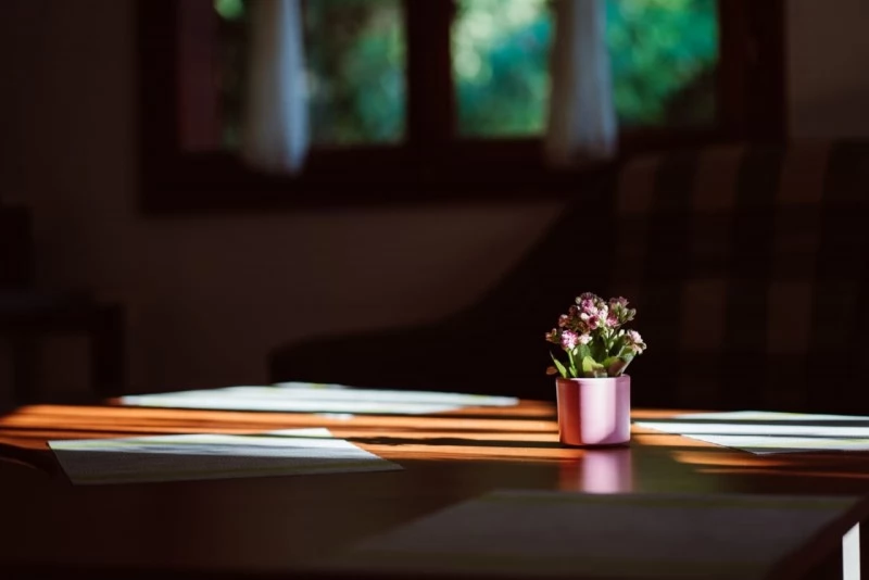 Szováta Szállás | Vendégház (K1452-21) A kép szerzői jogvédelem alatt állhat. Javasolt a kapcsolatfelvétel a jog tulajdonossal. Szováta Szállás | Vendégház (K1452-21) A kép szerzői jogvédelem alatt állhat. Javasolt a kapcsolatfelvétel a jog tulajdonossal.