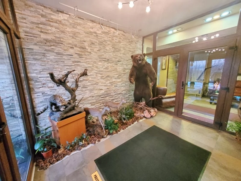 Cazare Sovata - Hotel Bellacya Resort*** | Szováta - Bellacya Resort Hotel***. Imaginea poate fi supusă drepturilor de autor. Se recomandă contactarea titularului drepturilor.