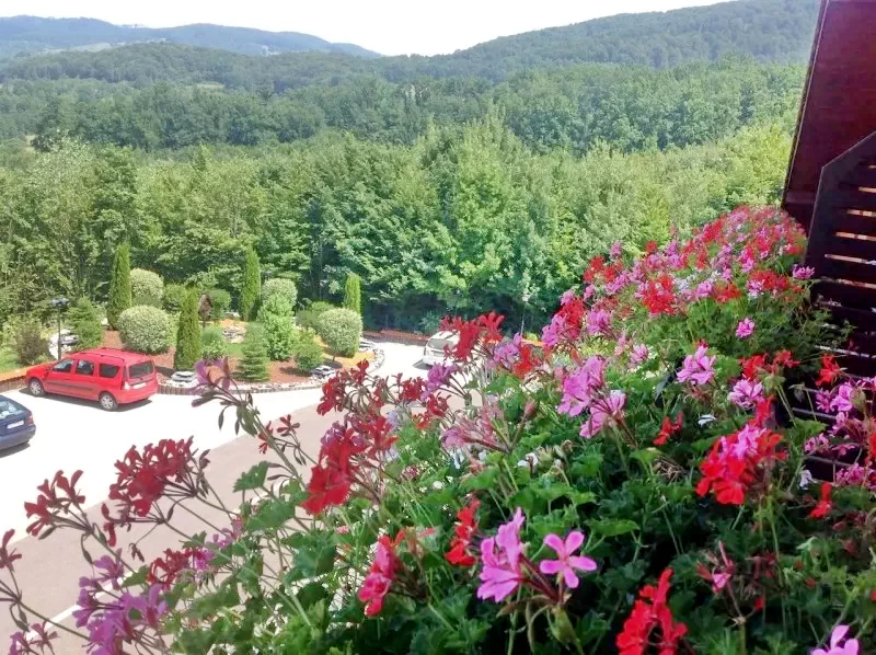 Cazare Sovata - Hotel Bellacya Resort*** | Szováta - Bellacya Resort Hotel***. Imaginea poate fi supusă drepturilor de autor. Se recomandă contactarea titularului drepturilor.