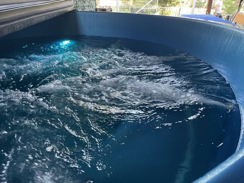 Băile Homorod Cazare | Pensiune (K1596-46) Imaginea poate fi supusă drepturilor de autor. Se recomandă contactarea titularului drepturilor.