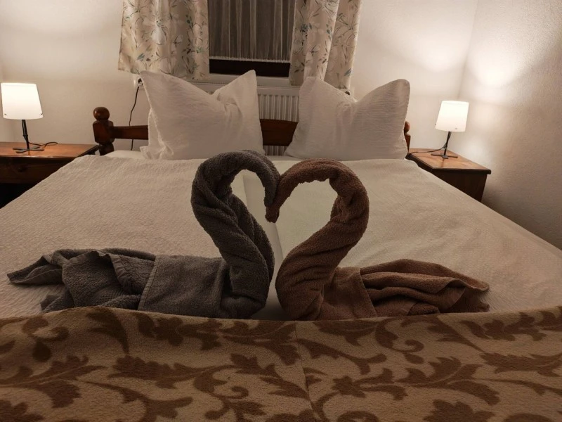 Băile Homorod Cazare | Pensiune (K1596-59) Imaginea poate fi supusă drepturilor de autor. Se recomandă contactarea titularului drepturilor.