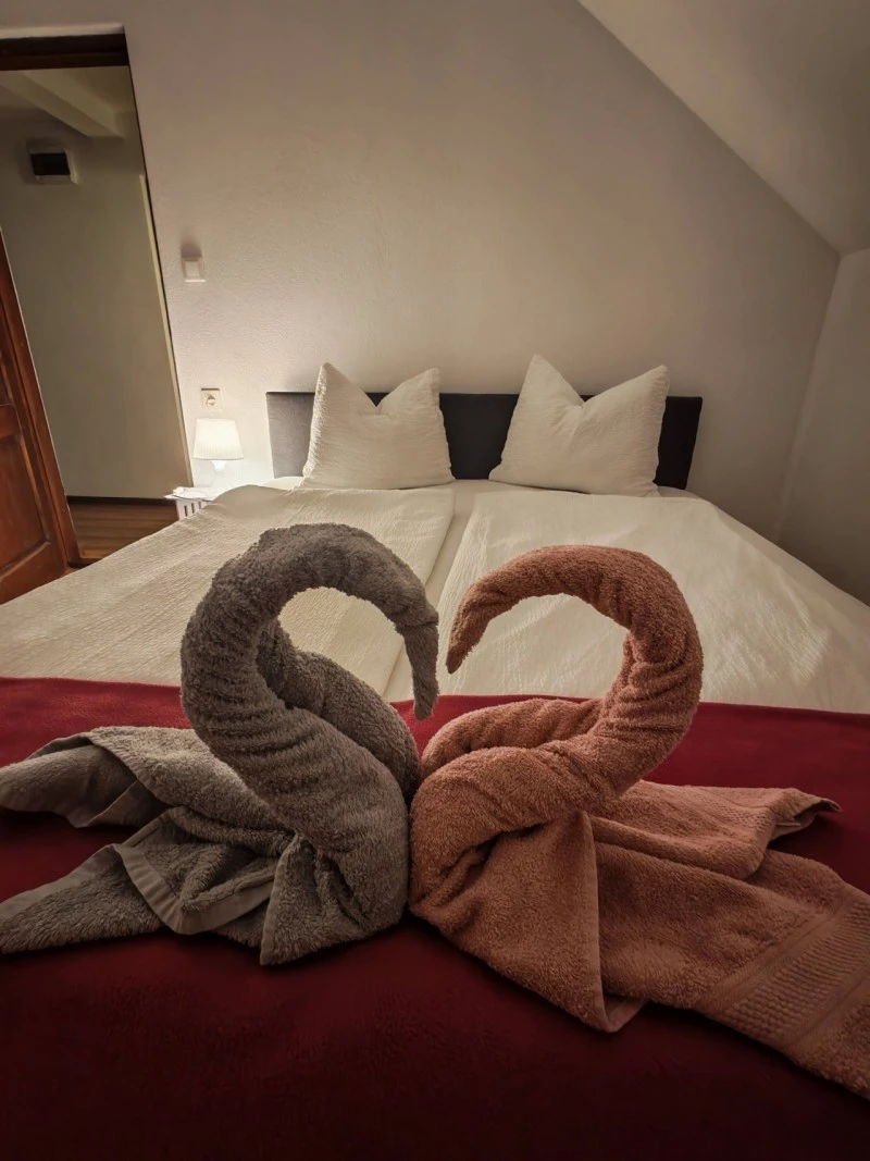 Homoródfürdő Szállás | Panzió (K1596-63) A kép szerzői jogvédelem alatt állhat. Javasolt a kapcsolatfelvétel a jog tulajdonossal.