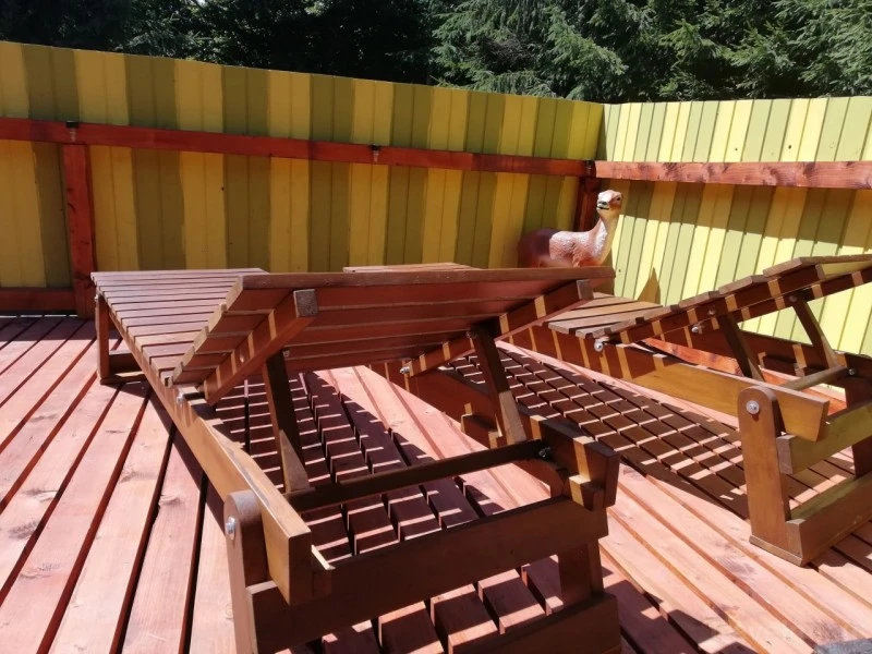 Băile Homorod Cazare | Cabană (K1597-22) Imaginea poate fi supusă drepturilor de autor. Se recomandă contactarea titularului drepturilor.