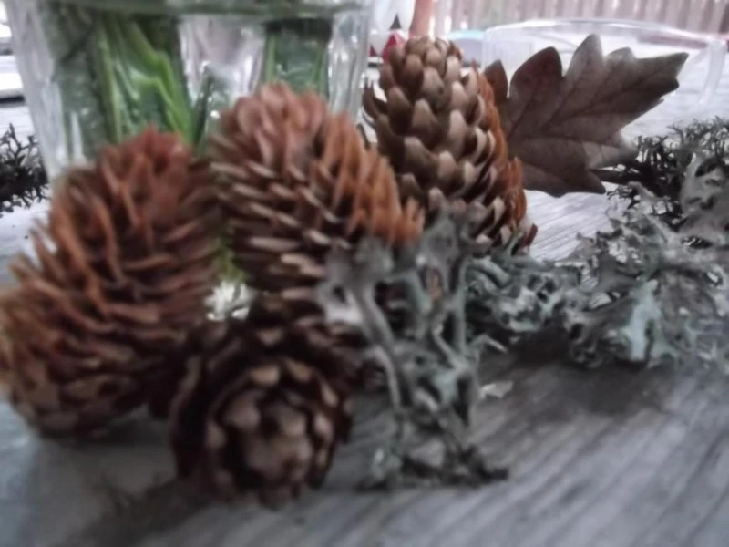 Băile Homorod Cazare | Cabană (K1598-13) Imaginea poate fi supusă drepturilor de autor. Se recomandă contactarea titularului drepturilor.