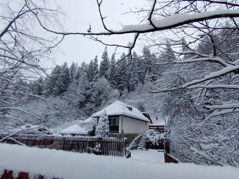 Băile Homorod Cazare | Cabană (K1598-21) Imaginea poate fi supusă drepturilor de autor. Se recomandă contactarea titularului drepturilor.