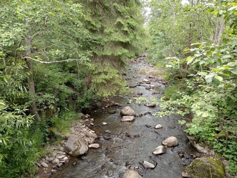 Homoródfürdő Szállás | Kulcsosház (K1598-38) A kép szerzői jogvédelem alatt állhat. Javasolt a kapcsolatfelvétel a jog tulajdonossal.