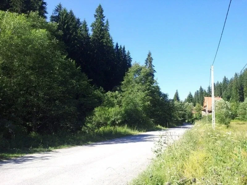 Băile Homorod Cazare | Cabană (K1598-39) Imaginea poate fi supusă drepturilor de autor. Se recomandă contactarea titularului drepturilor.