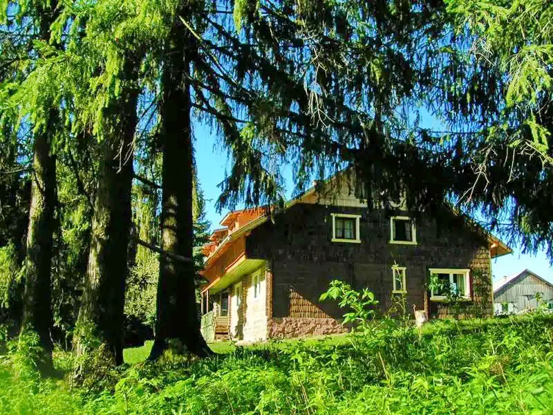 Băile Homorod Cazare | Pensiune (K0121-55) Imaginea poate fi supusă drepturilor de autor. Se recomandă contactarea titularului drepturilor.