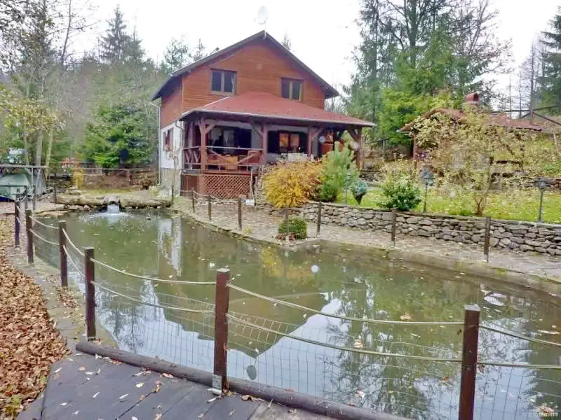 Băile Homorod Cazare | Cabană (K1178-23) Imaginea poate fi supusă drepturilor de autor. Se recomandă contactarea titularului drepturilor.