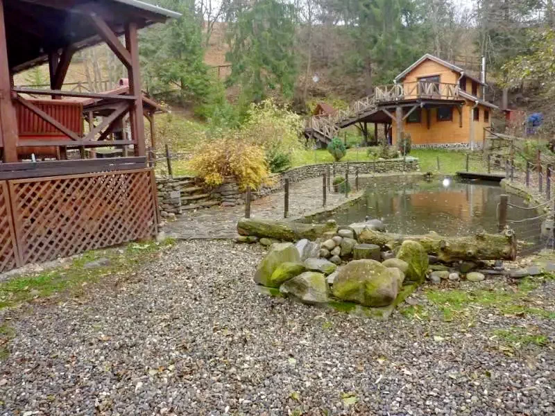 Băile Homorod Cazare | Cabană (K1178-26) Imaginea poate fi supusă drepturilor de autor. Se recomandă contactarea titularului drepturilor.